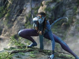 Zoe Saldana from Avatar Movie wallpaper