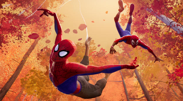 2018 Spider-man Into The Spider Verse Movie Wallpaper 1080x2310 Resolution
