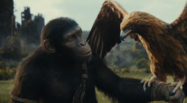 2023 Movie Kingdom of the Planet of the Apes Wallpaper 1920x1080 Resolution