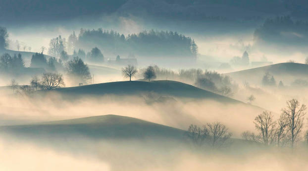 4K Foggy Landscape Wallpaper 1440x3200 Resolution