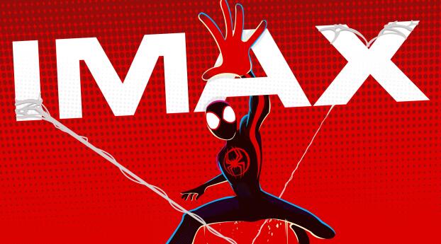 4K Spider-Man Across The Spider-Verse IMAX Wallpaper 1080x2232 Resolution