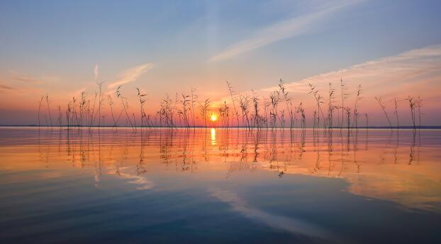 4K Sunset on Lake Finland Wallpaper 1440x2960 Resolution