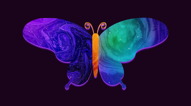 A Colorful Abstract Butterfly Wallpaper 1920x1080 Resolution