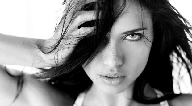 Adriana Lima Black And White Wallpapers  Wallpaper 1600x1200 Resolution