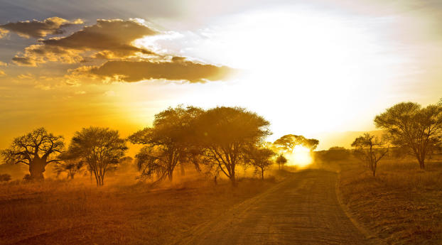 africa, road, sunrise Wallpaper