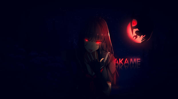 Akame Anime Coolest Art Wallpaper 1080x2340 Resolution
