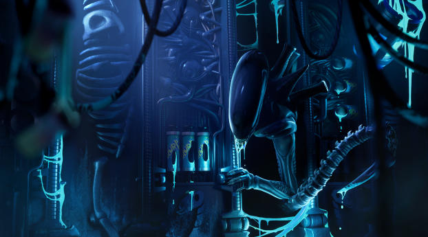 Alien Xenomorph Fortnite Wallpaper 2048x2048 Resolution
