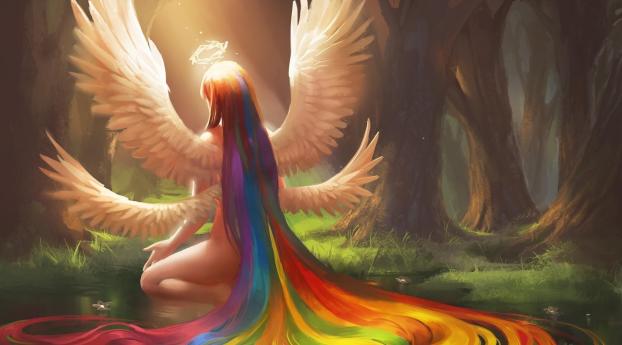 angel, wings, nimbus Wallpaper