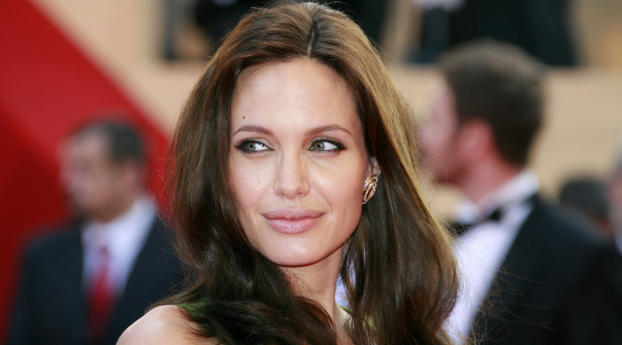 Angelina Jolie At Awards Wallpaper 2048x1152 Resolution