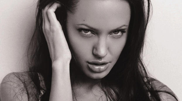 Angelina Jolie Sexy Images Wallpaper 319x720 Resolution