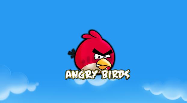 angry birds, bird, red Wallpaper