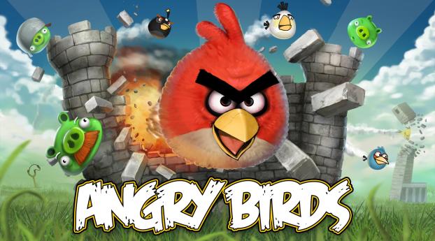 angry birds, birds, angry Wallpaper 1336x768 Resolution