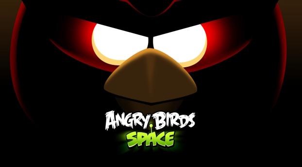 angry birds space, angry birds, bird Wallpaper 2560x1440 Resolution