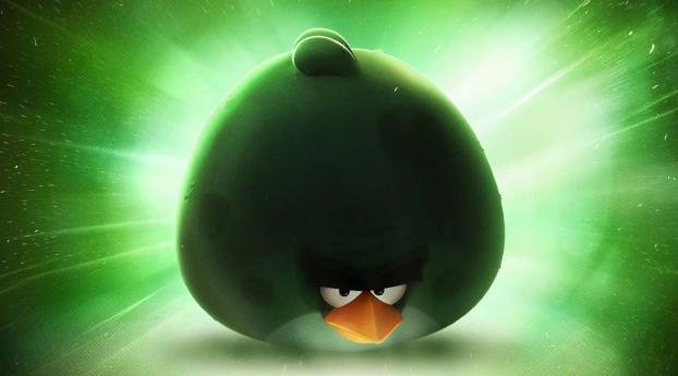 angry birds space, angry birds, rovio mobile Wallpaper 2560x1600 Resolution