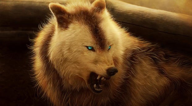 Angry Wolf Wallpaper 1280x2120 Resolution