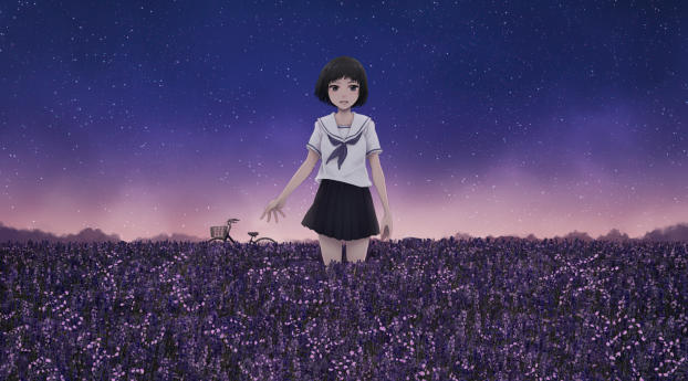Anime Girl In Field Wallpaper 1600x900 Resolution