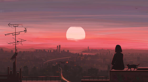 Anime Sunset HD Alone with Cat Wallpaper 1080x2316 Resolution