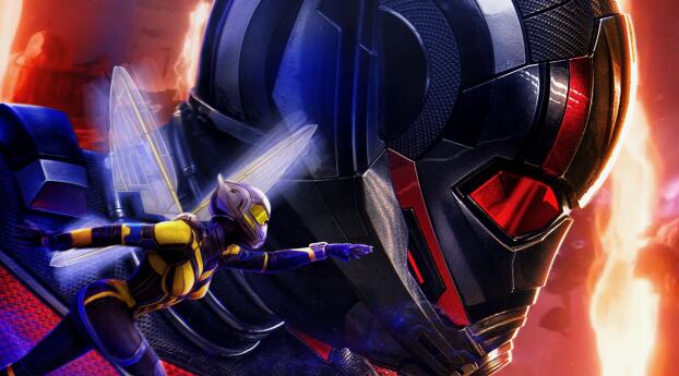 Ant-Man and The Wasp 2 Movie Wallpaper 1080x2246 Resolution