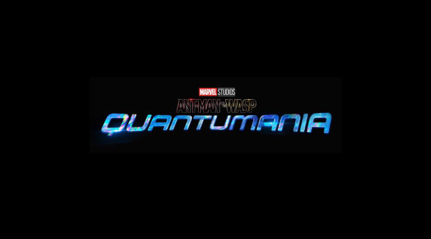 Ant-Man and the Wasp 3 Logo Wallpaper 1080x2244 Resolution