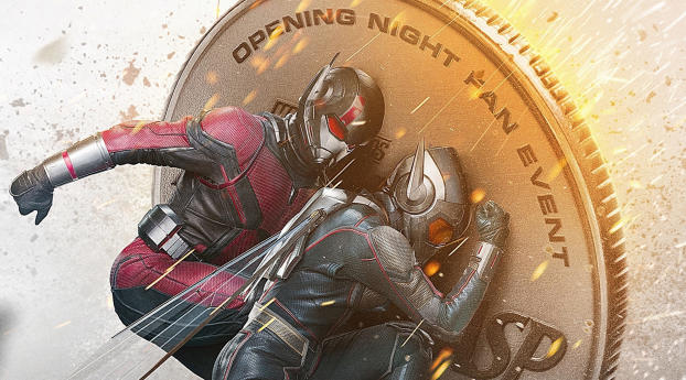 Ant-Man and the Wasp Movie Coin Poster Wallpaper 720x1520 Resolution