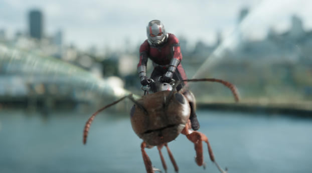 Ant-Man riding Ant in Ant-Man and the Wasp Wallpaper 5120x1400 Resolution