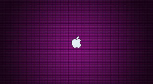 apple, mac, seeds Wallpaper 640x480 Resolution