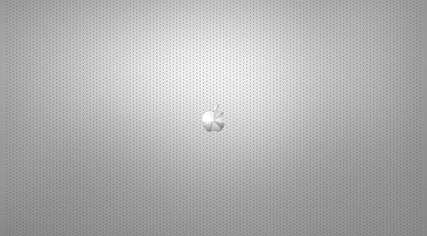 apple, mac, surface Wallpaper 2048x2732 Resolution