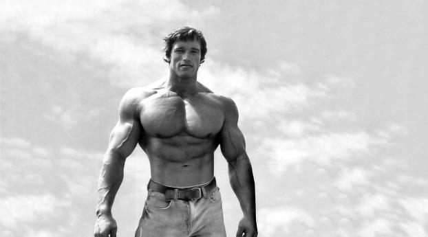 1280x2120 Arnold Schwarzenegger Black And White Wallpaper iPhone 6 plus  Wallpaper, HD Celebrities 4K Wallpapers, Images, Photos and Background -  Wallpapers Den