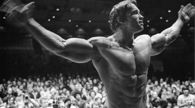 Arnold Schwarzenegger Bodybuilding Poster Wallpaper 320x240 Resolution