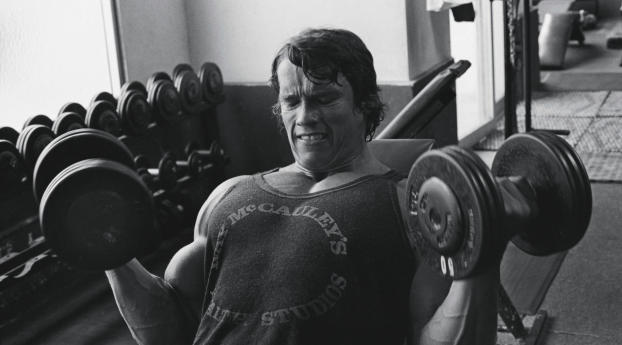Arnold Schwarzenegger In Gym Photos Wallpaper 1440x2992 Resolution