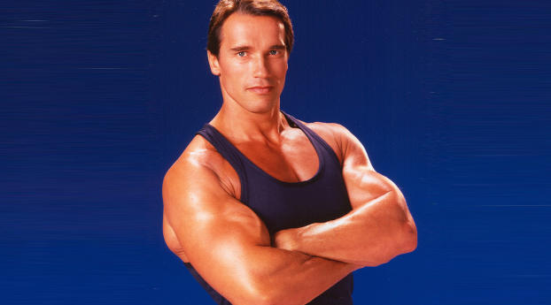 Arnold Schwarzenegger Macho Look Pic Wallpaper 1125x2436 Resolution
