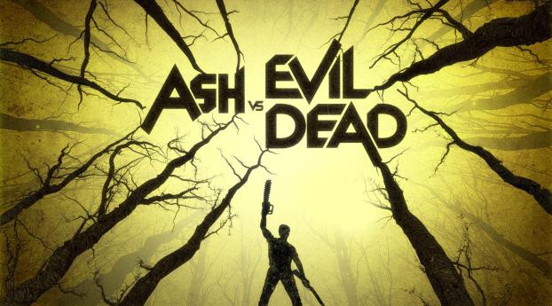 ash vs evil dead, inscription, wood Wallpaper 1080x2160 Resolution