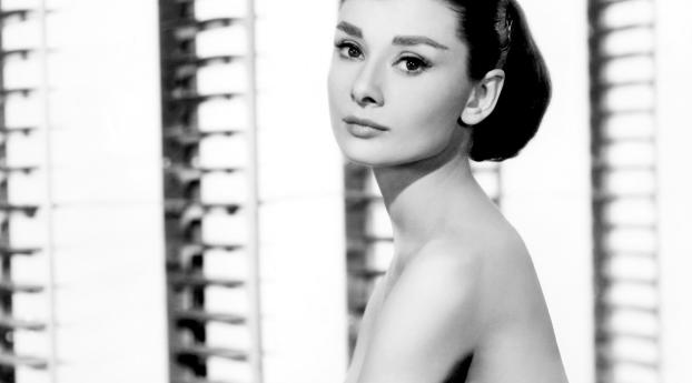 Audrey Hepburn Back And White Hd Wallpaper Wallpaper 480x800 Resolution