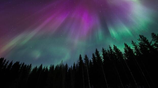Aurora Borealis HD Night Photography Wallpaper 1440x2880 Resolution