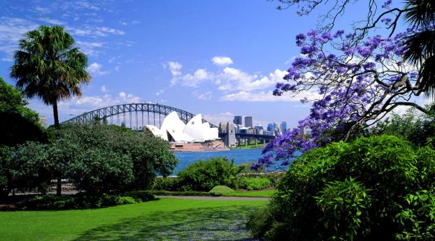 australia, sydney, sydney opera house Wallpaper 1440x2960 Resolution