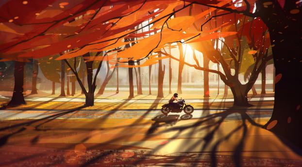 Autumn Fall Countryside Biker Wallpaper 1440x2560 Resolution