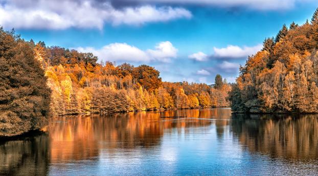 autumn, lake, trees Wallpaper 480x484 Resolution
