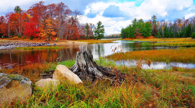 autumn, landscape, grass Wallpaper 2560x1440 Resolution