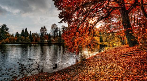autumn, park, foliage Wallpaper 3840x2400 Resolution