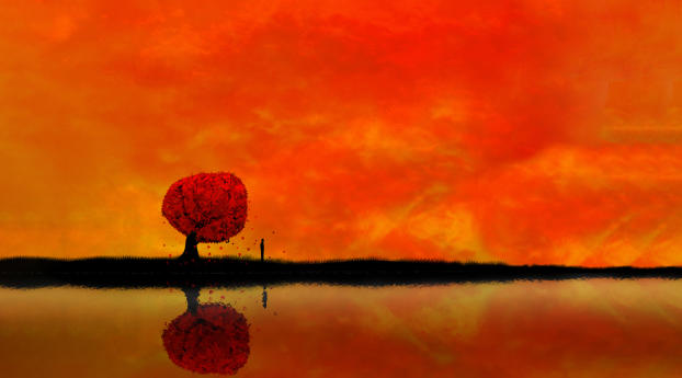 Autumn Reflection Wallpaper 480x854 Resolution