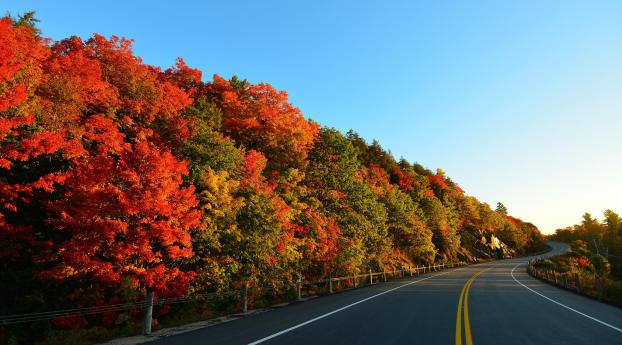 autumn, road, turn Wallpaper 1280x1024 Resolution