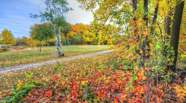 autumn, trees, footpath Wallpaper 2560x1700 Resolution