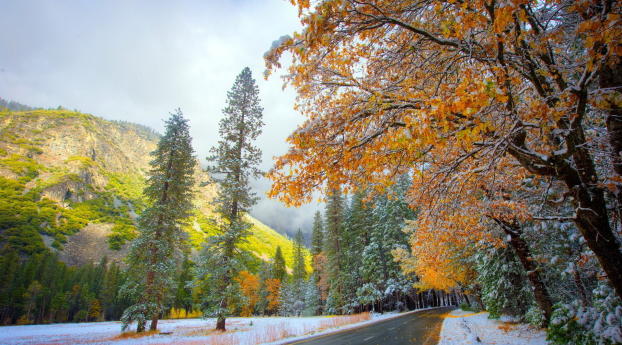 autumn, winter, snow Wallpaper 1600x900 Resolution