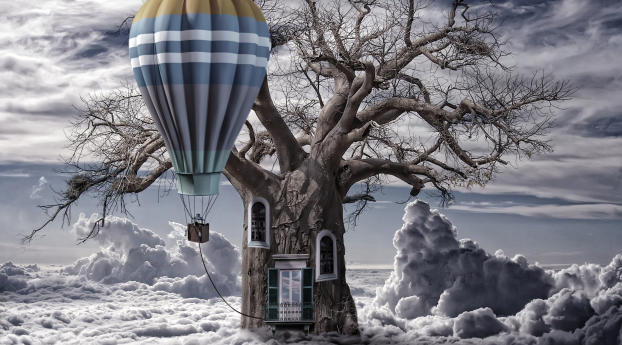 balloon, clouds, tree Wallpaper