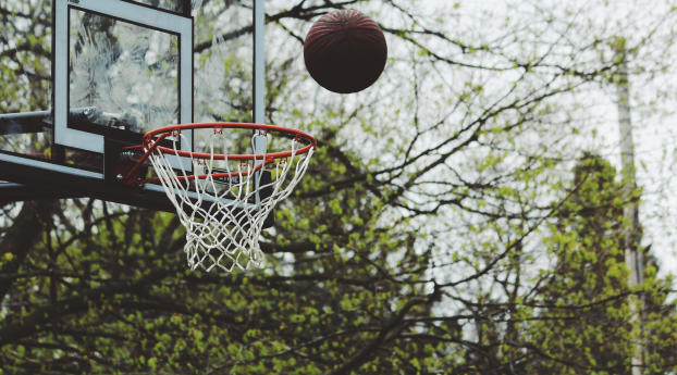 basketball, ring, ball Wallpaper 1080x2160 Resolution
