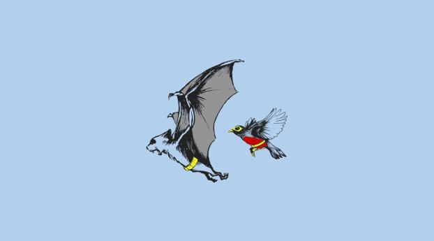 bat,  bird, fly Wallpaper 1600x900 Resolution
