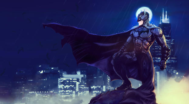 Batman Cool Art Wallpaper 1440x2992 Resolution