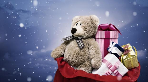 bear, gift, bag Wallpaper 1440x3200 Resolution