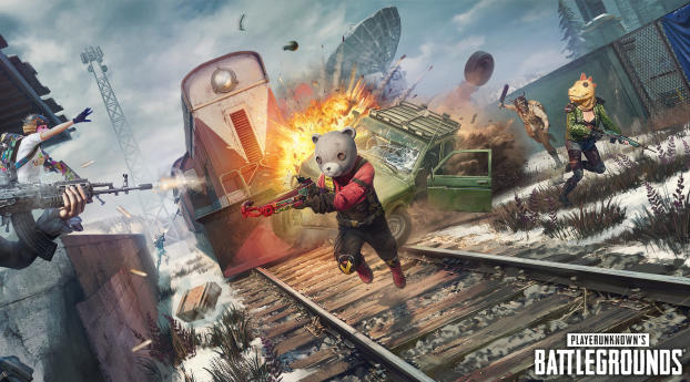 Bear  Playerunknown's Battlegrounds 7 Wallpaper