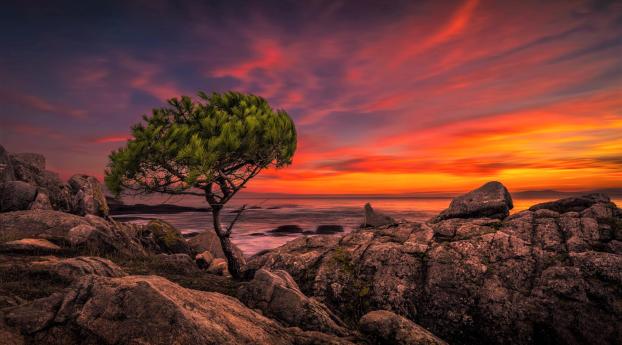 Beautiful Sunset In Horizon Ocean Wallpaper 2160x3840 Resolution